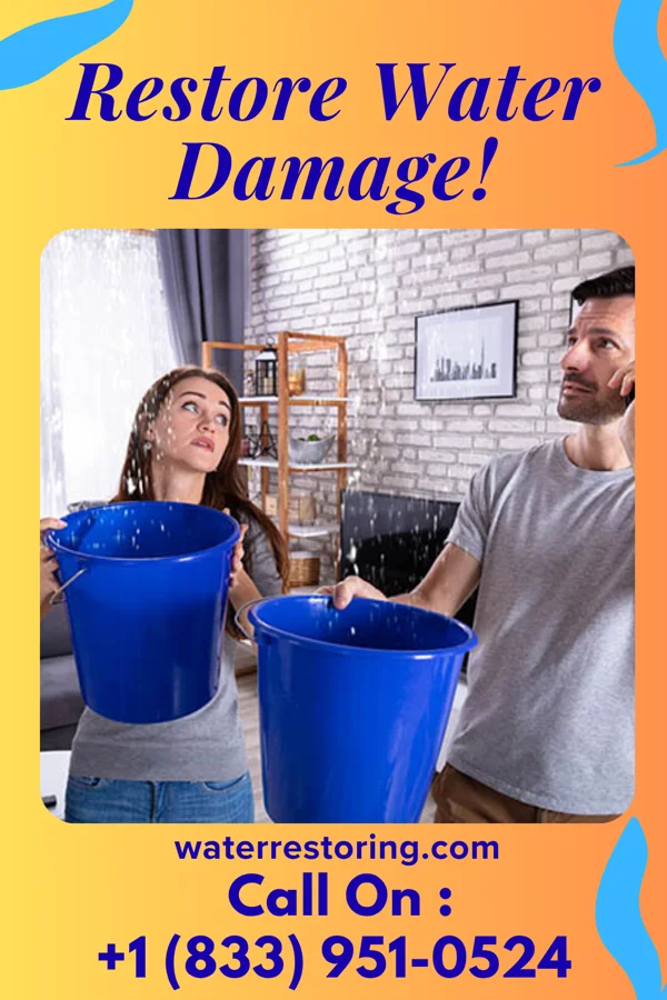 water restoration Priority Extraction Services Ridgway