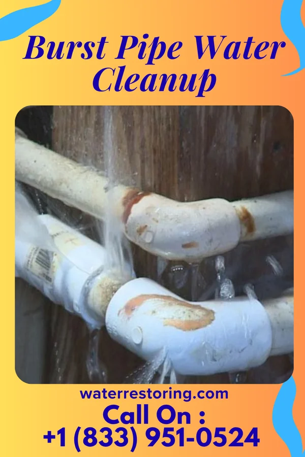 Burst Pipe Water Cleanup in Ridgway, PA
