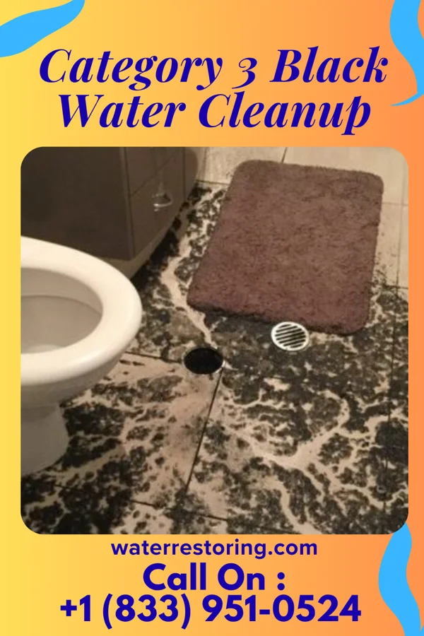 Category 3 Black Water Cleanup in Ridgway, PA