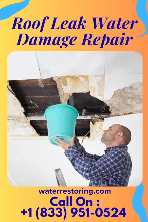 Roof Leak Water Damage Repair in Ridgway, PA