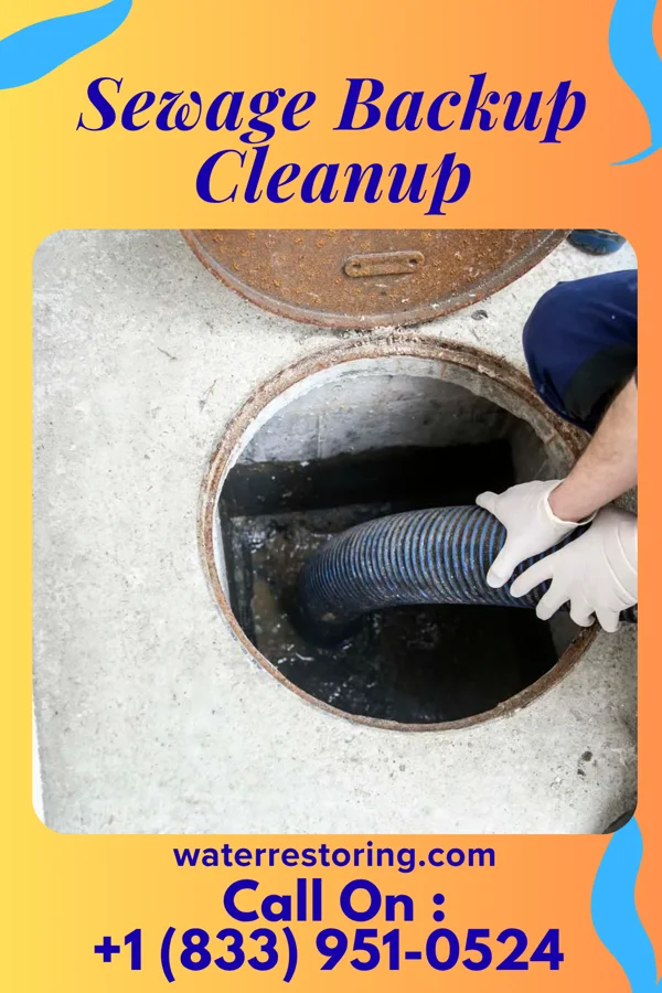 Sewage Backup Cleanup in Ridgway, PA