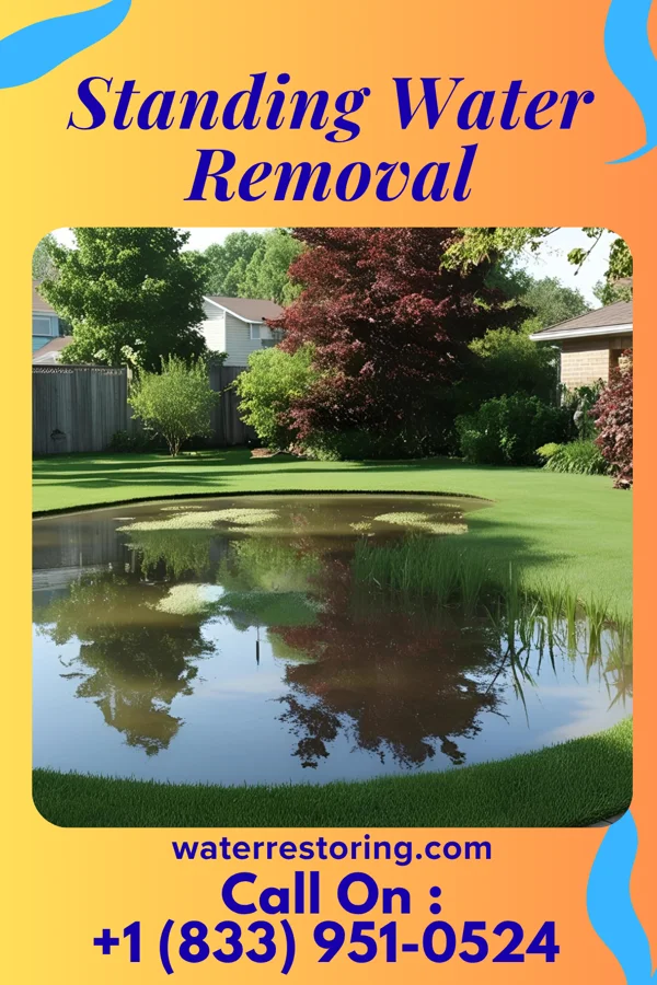 Standing Water Removal in Ridgway, PA